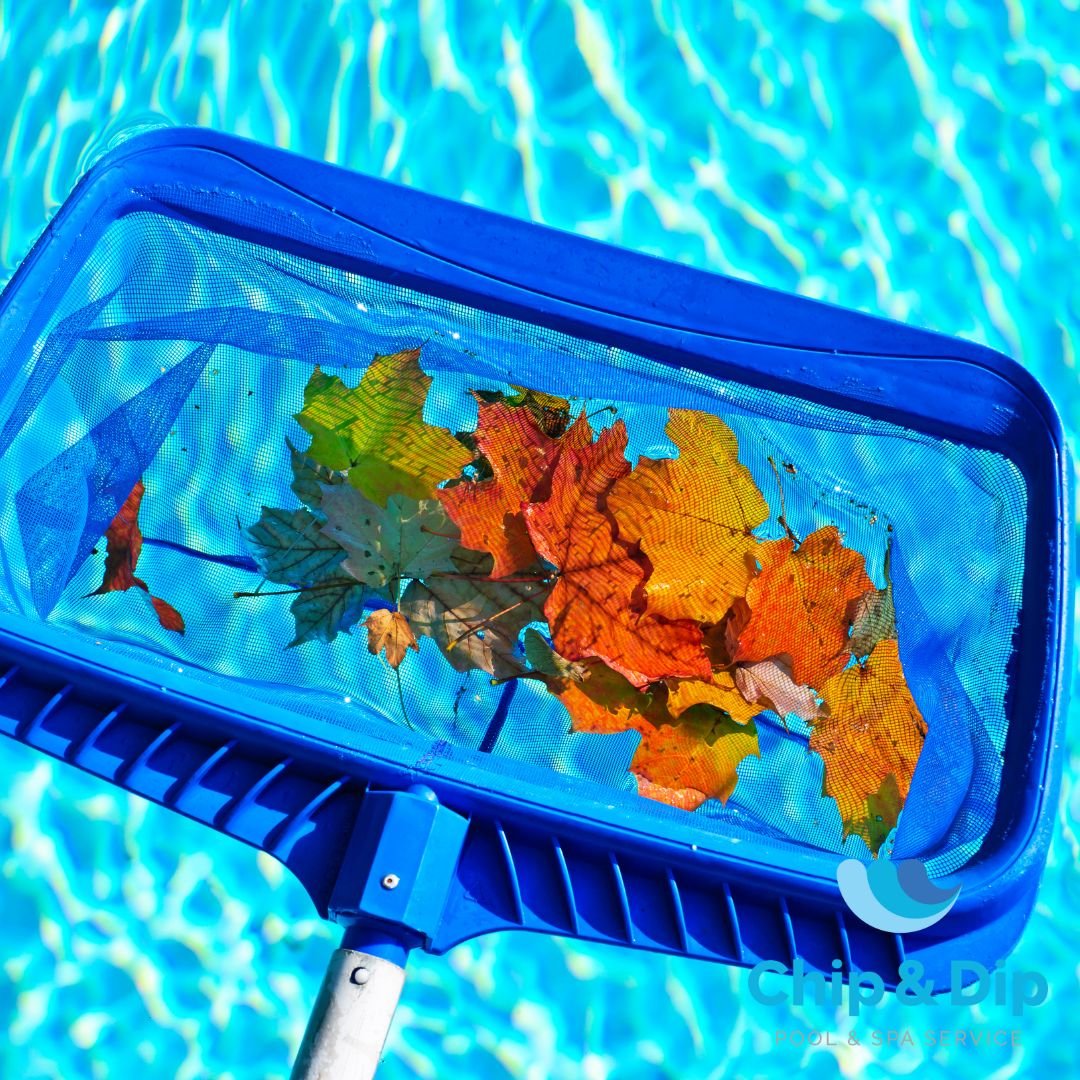 Pool cleaning equipment